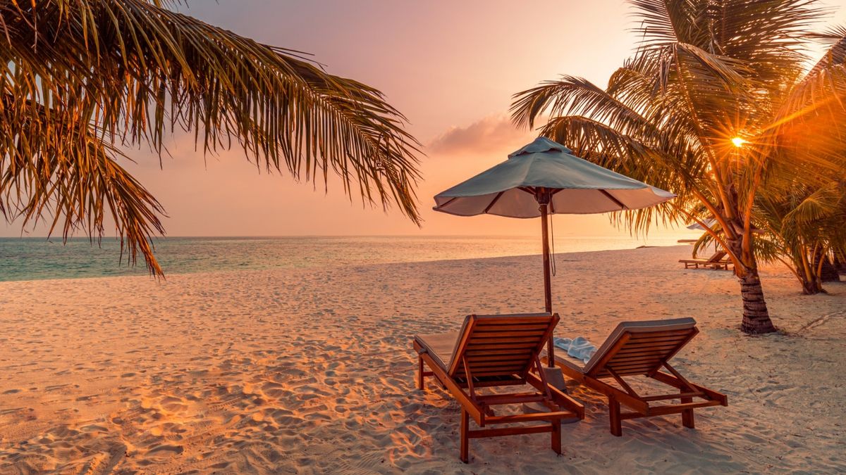 4cc04425f101576d800c81dea594b22e 1